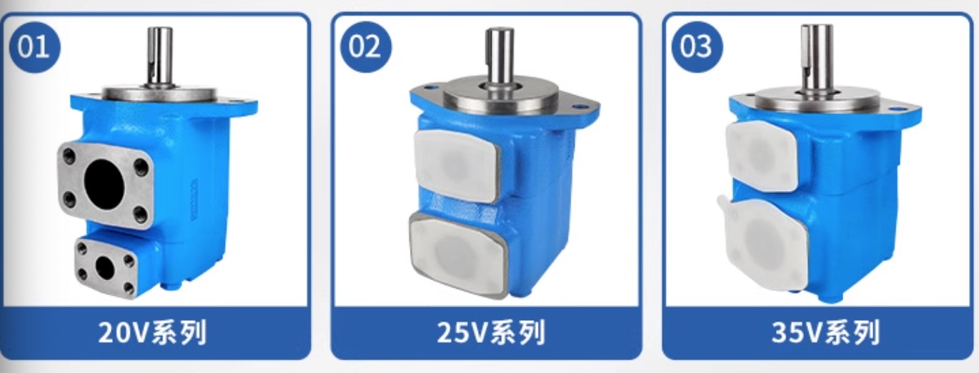 Hydraulic Vane Pump - HY-PW-06 injection molding spare part