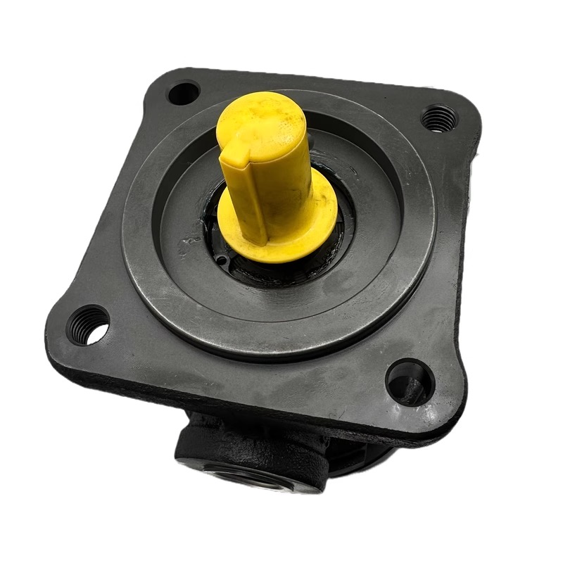 Hydraulic Piston Pump - HY-PW-07 injection molding spare part